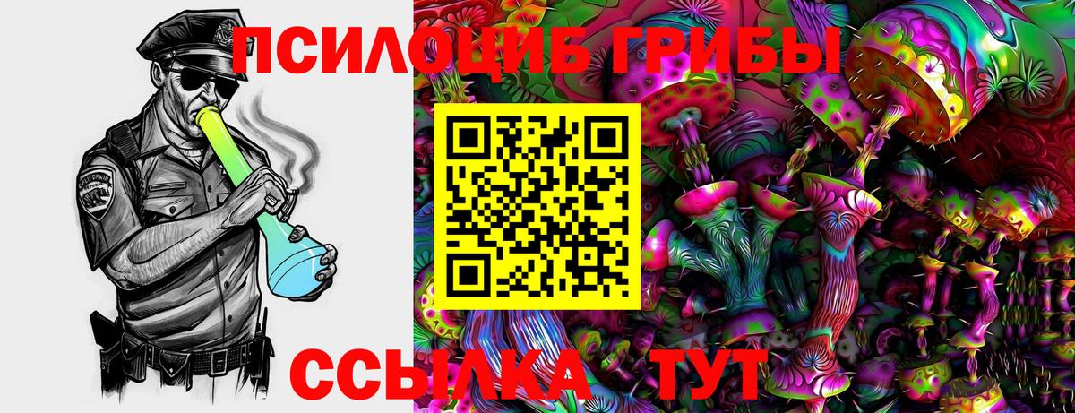 Псилоцибиновые грибы GOLDEN TEACHER Медногорск